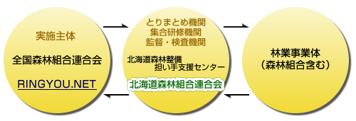 実施体制の流れ