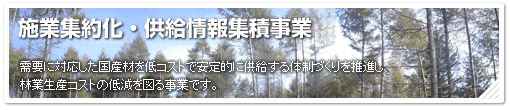 �{�ƏW�񉻁E���W�ώ��Ƃւ̃����N