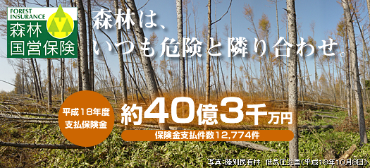 国営森林保険